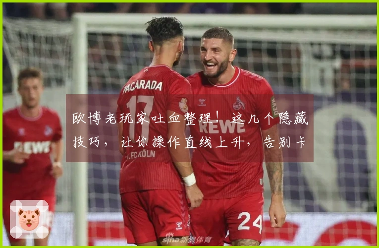 欧博老玩家吐血整理！这几个隐藏技巧，让你操作直线上升，告别卡顿困扰！